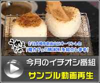 今月のイチオシ番組 サンプル動画再生